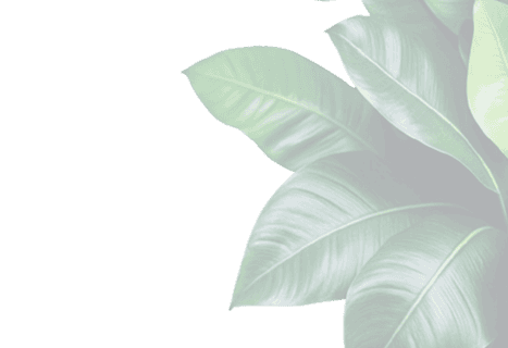 Decorative leaf